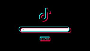 Read more about the article TikTok search