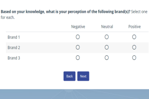 Read more about the article Brand perceptions