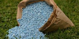 Read more about the article Synthetic fertilisers