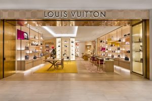 Read more about the article Louis Vuitton