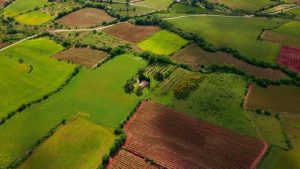 Read more about the article Acre