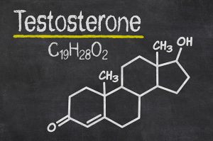 Read more about the article “Testosterone makes us aggressive.”