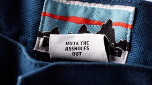 Read more about the article Political brand buying