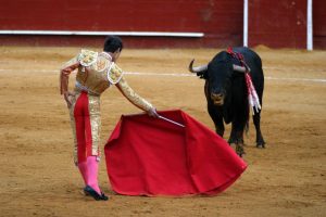 Read more about the article “Bulls hate the colour red.”