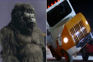 Read more about the article Cadbury’s Gorilla