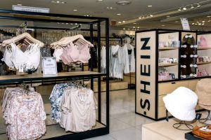 Read more about the article Shein
