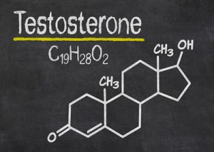 Read more about the article “Testosterone makes us aggressive.”