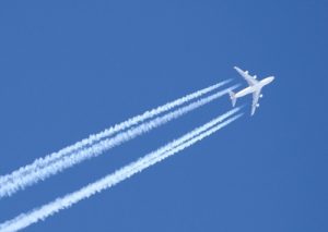 Read more about the article Environmental concern