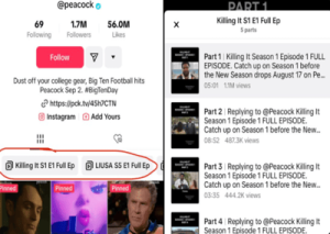 Read more about the article TikTok shows